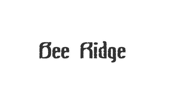 Bee Ridge Vintage font thumb